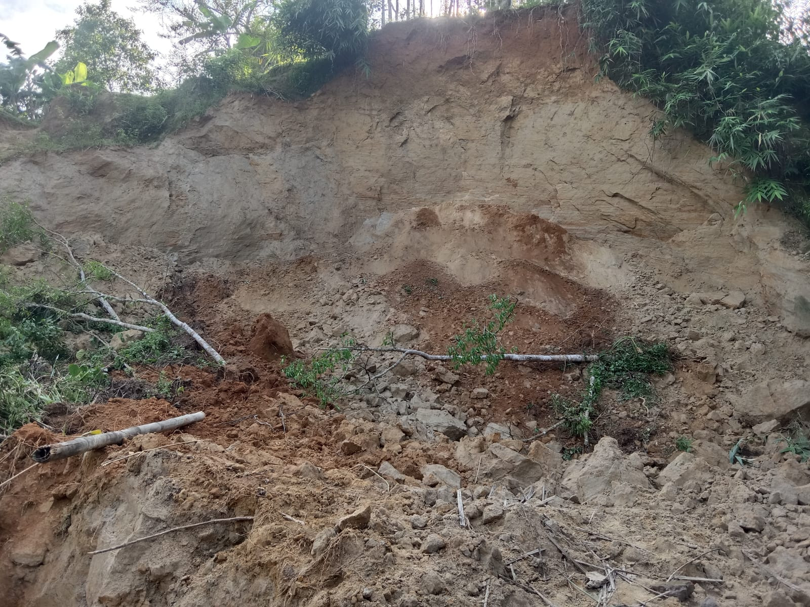 জুড়ীতে টিলা ধসে গোয়ালঘরের ক্ষয়ক্ষতি 